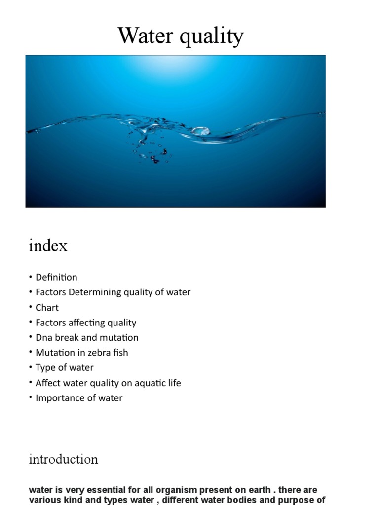 Water Quality PDF Water Quality Water