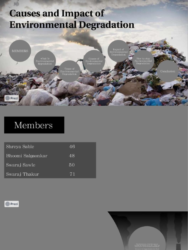 Causes and Impact of Environmental Degradation | PDF