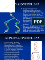 2 Replicazione Del DNA