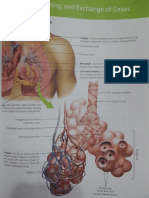 Human Physiology