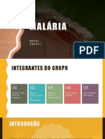 Malária: doença, fatores de risco e tratamento