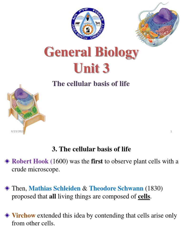 Cellular Basis of Life Overview | PDF | Cell Nucleus | Cell (Biology)