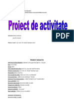 Proiect didactic - 