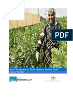 Socio-Economic and Food Security Survey (SEFSec)-2020 Full Report