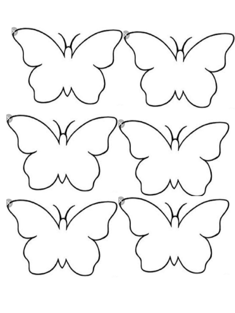 Butterfly | PDF