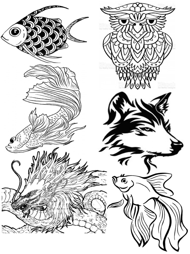 Animal 1 | PDF