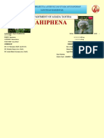 AHIPHENA