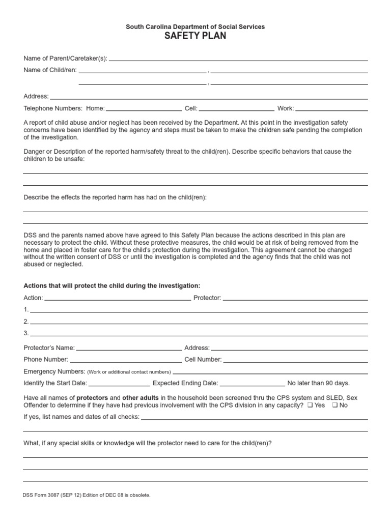 DSS Safety Plan PDF Child Protective Services Child Welfare