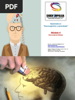 Módulo 4. Neuroaprendizaje