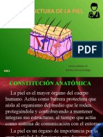 CLASS 01-Estructura de Piel - Microbiota