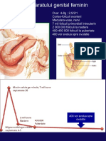 Anatomia aparatului genital feminin si ciclul menstrual