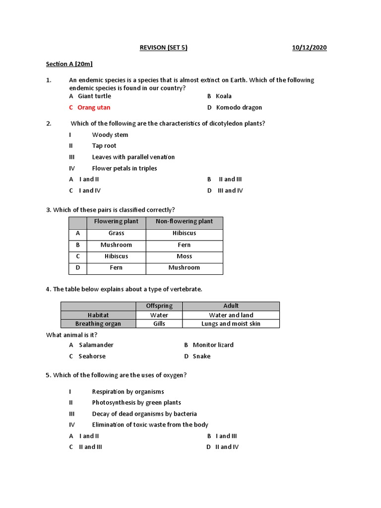 Revision Set 5 Biology Test PDF Immune System Foods