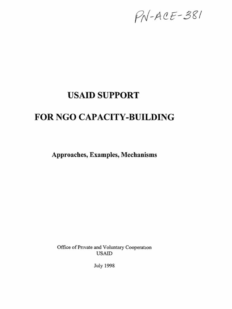 USAID NGO Capacity-Building Strategies | PDF | Capacity Building ...