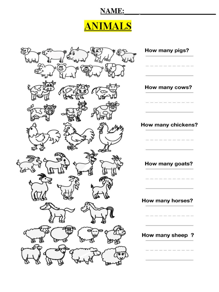 How Many Animals PDF