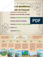 Mapa conceptual-Camila-604-Ecología y Medio Ambiente