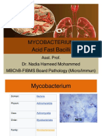 Mycobacterium: Acid Fast Bacilli