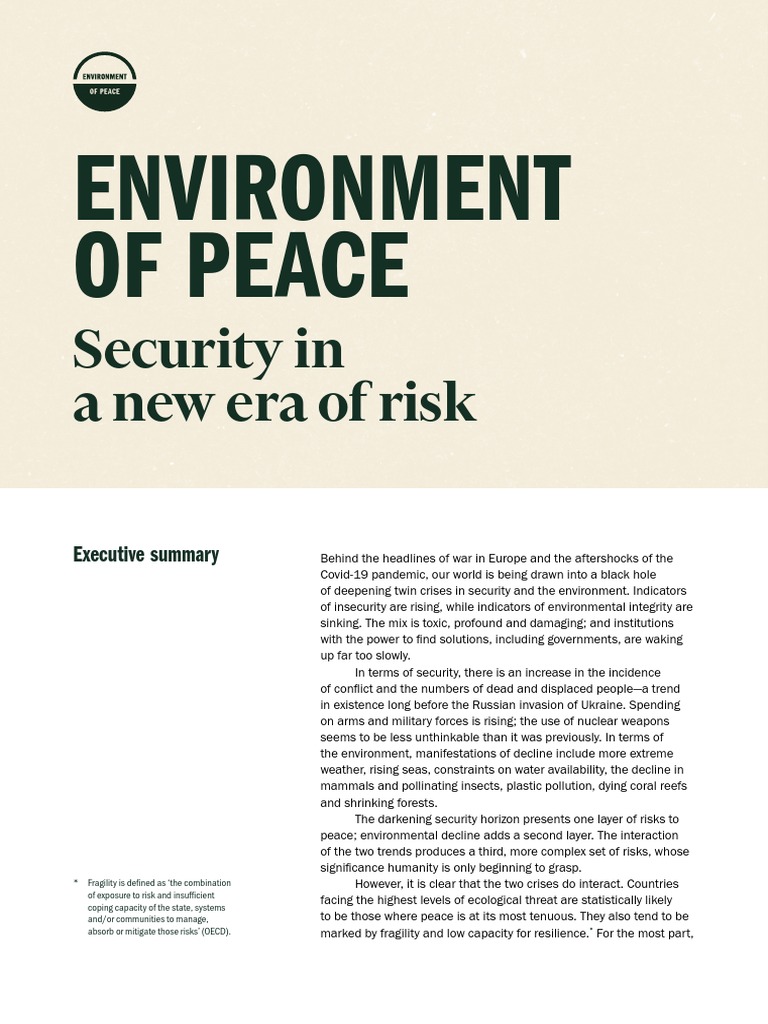 Environment of Peace Security in A New Era of Risk Executive Summary