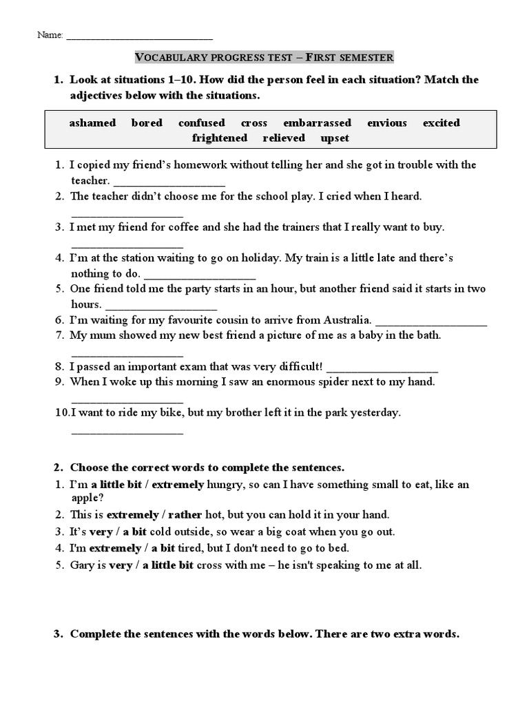 Vocabulary Progress Assessment Guide | PDF