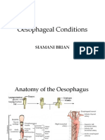 Esophageal Conditions