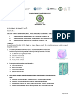 Proba Practica Ix 2022