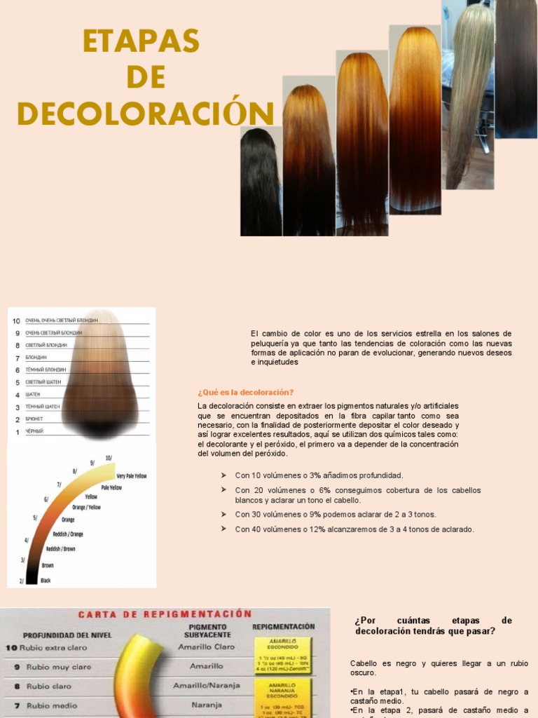Etapas de Decoloración del Cabello | PDF | Arte