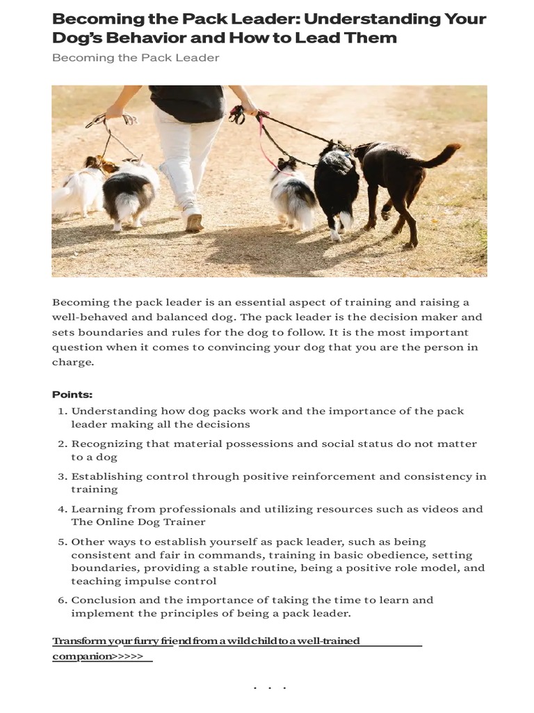 Becoming the Pack Leader for Dogs | PDF