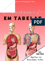 Anatomia em Tabelas - FINAL