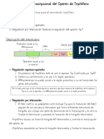 Regulación del operón trp por atenuación y represor