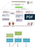 Mapa Conceptual Esteroides