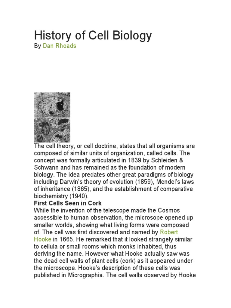 History of Cell Biology and Theory | PDF | Cell (Biology) | Life Sciences