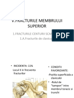 Membrul Superior