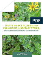 Insectary Strips Field Guide - CS18 1