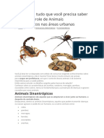 Controle Animais Sinantrópicos