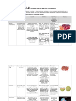 Organelos de La Célula