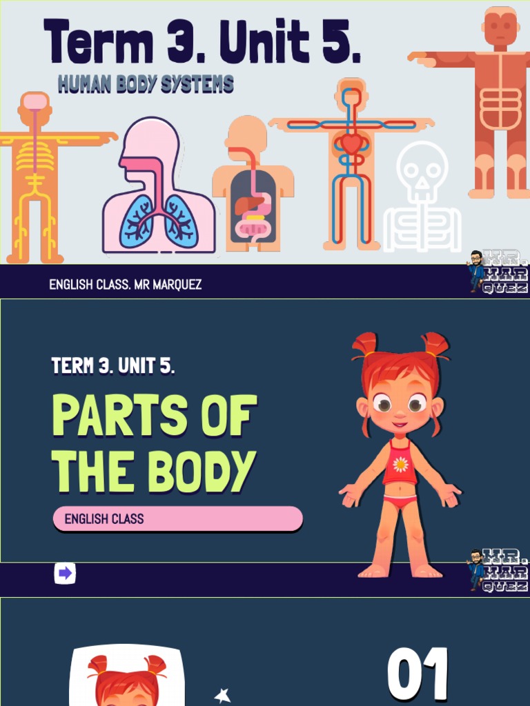 Understanding Human Body Systems | PDF