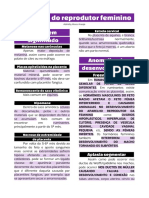 Patologia do reprodutor feminino: principais lesões e anomalias