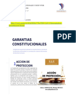 8 Tarea Interpretación de Una de Las Garantías Jurisdiccionales