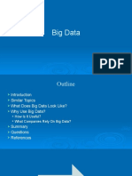 14b - Supplementary Material - Big Data