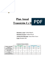 Plan Anual NT