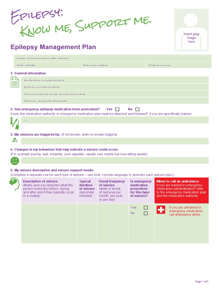 Epilepsy Management Plan Template | PDF | Epilepsy | Medical Specialties