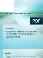 Animal Reproduction