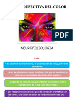 Tema 19 Neurofisiologia de La Vision de Color