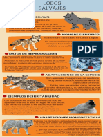 Infografía Especies en Peligro de Extinción Ilustrado Amarillo y Azul