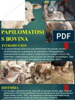 Presentacion de Enf. Papiloma