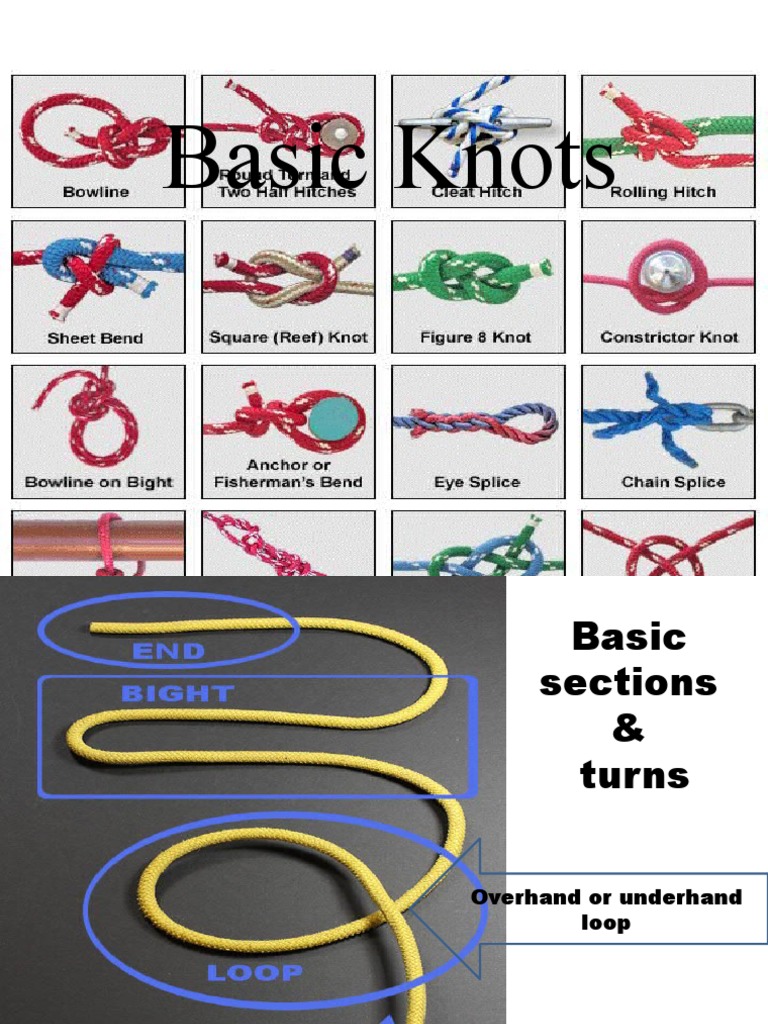 Essential Guide to Basic Knots | PDF