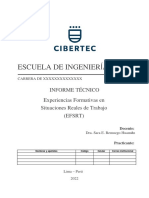 Modelo de Informe Técnico Efsrt Internas