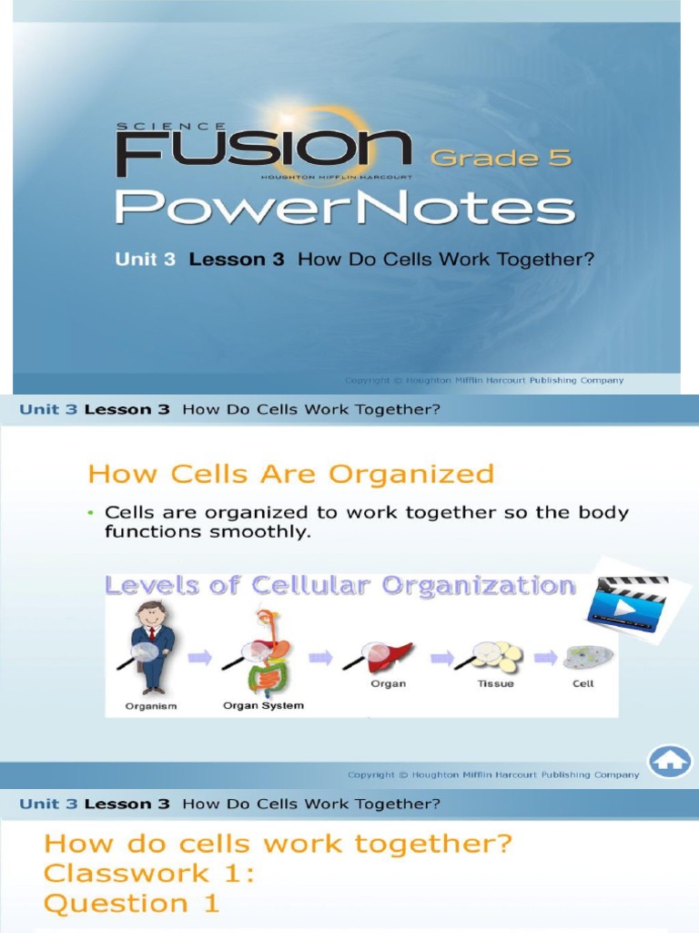 How Do Cells Work Together PDF Marketing Business