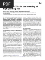 Download Role of QTLs Breeding High Yield by Black Hunt SN61998982 doc pdf