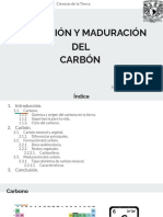 Formación y Maduración Del Carbón-1