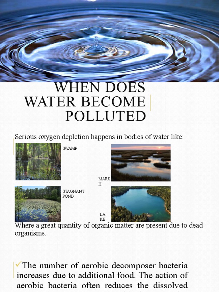 When Does Water Polluted PDF Water Pollution Eutrophication